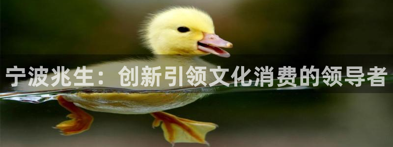 九游会怎样：宁波兆生：创新引领文化消费的