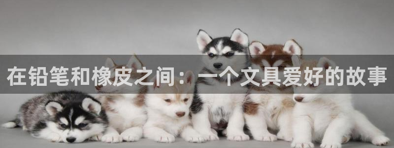 九游会足彩：在铅笔和橡皮之间：一个文具爱