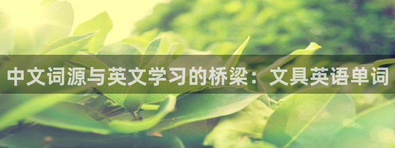 ag九游会官网 网页版：中文词源与英文学