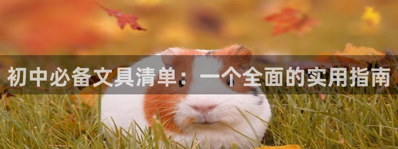 九游会登录入口：初中必备文具清单：一个全