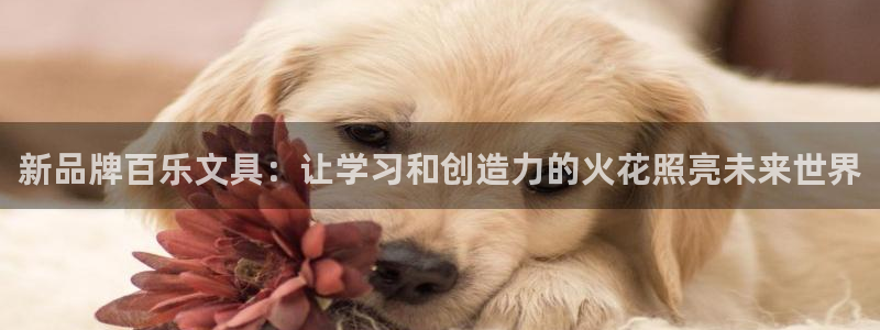 j9九游会登录入口首页：新品牌百乐文具：