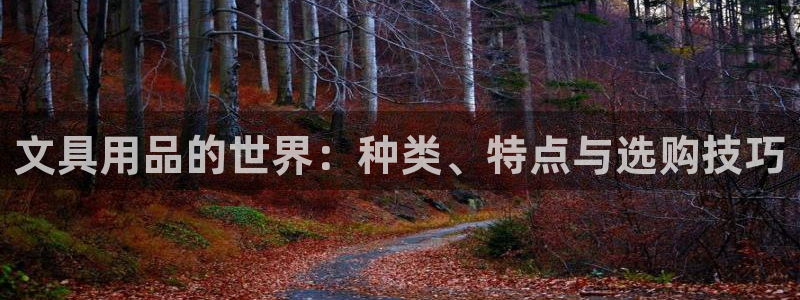 九游会现场：文具用品的世界：种类、特点与