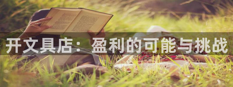 九游会J9官网安全吗：开文具店：盈利的可