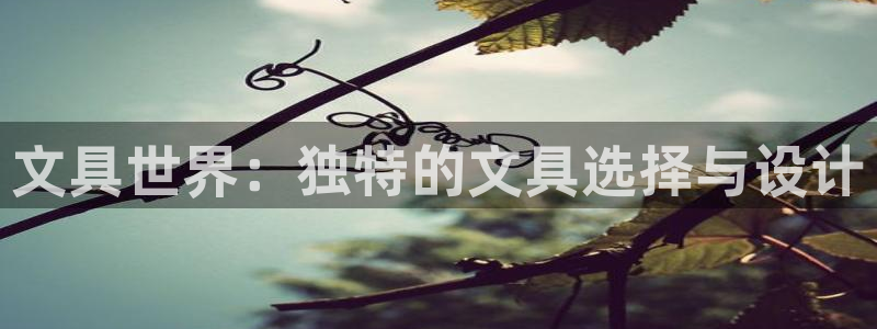 九游会安全码：文具世界：独特的文具选择与