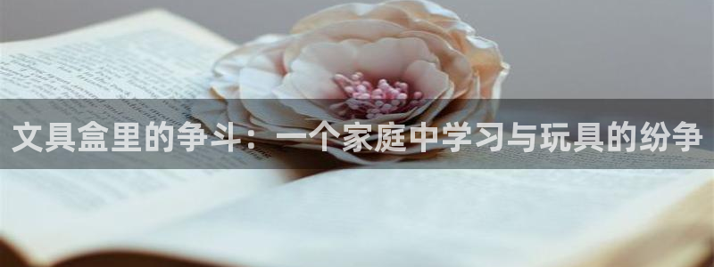 九游会ag网站：文具盒里的争斗：一个家庭
