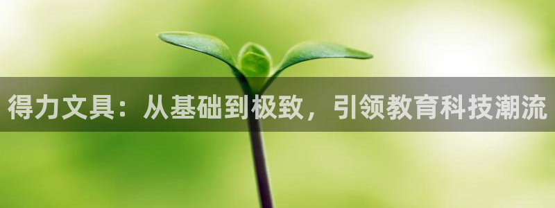 ag九游会网址大全：得力文具：从基础到极