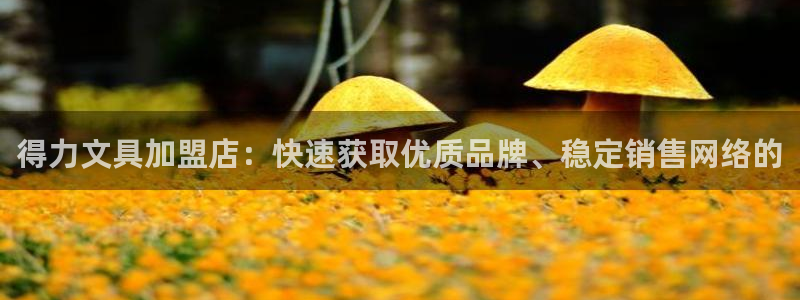 九游会官网在线登录页面：得力文具加盟店：