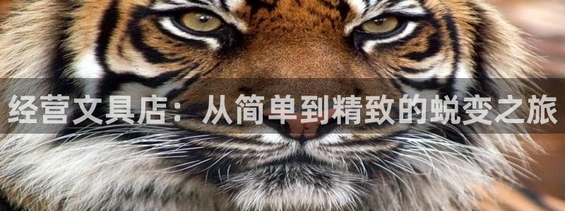 ag九游会：经营文具店：从简单到精致的蜕