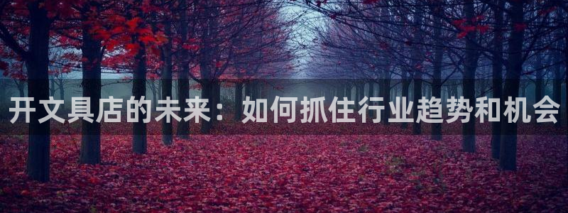 AG九游会优惠中心：开文具店的未来：如何