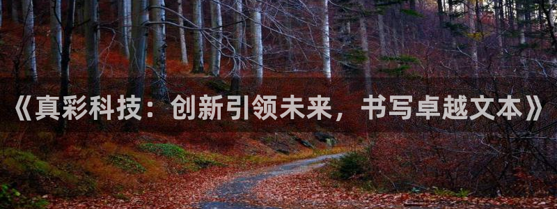 j9九游会九游会官网：《真彩科技：创新引