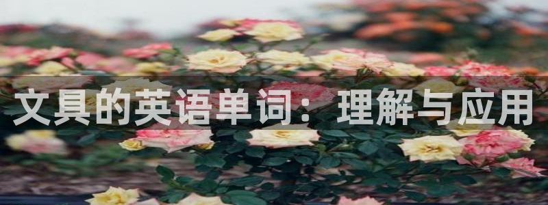 九游会黑网投：文具的英语单词：理解与应用