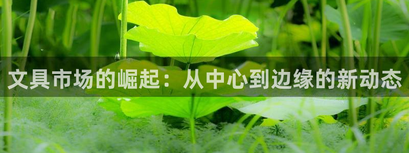 九游会和亚游：文具市场的崛起：从中心到边