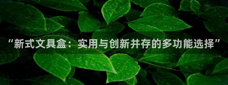 九游账号会丢吗吗：“新式文具盒：实用与创
