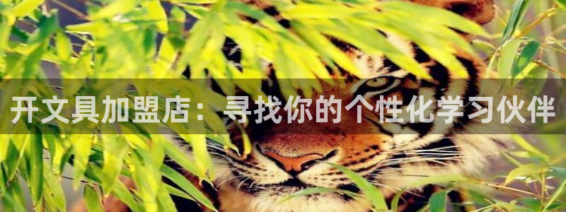 九游会Bitbase：开文具加盟店：寻找