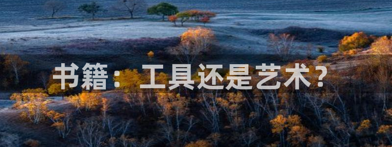 改名九游会：书籍：工具还是艺术？