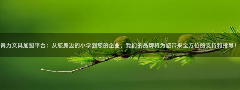 j9九游会直营：得力文具加盟平台：从您身