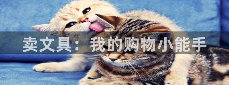 九游会官网入口手机版：卖文具：我的购物小