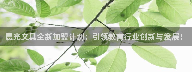 九游会官：晨光文具全新加盟计划：引领教育