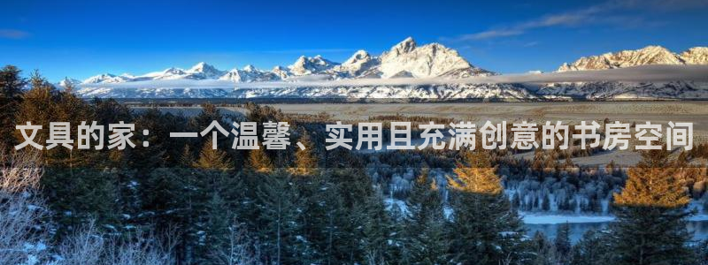 九游会亚洲：文具的家：一个温馨、实用且充