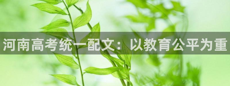 九游会气派：河南高考统一配文：以教育公平