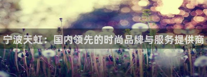 ag亚洲九游会登 口：宁波天虹：国内领先