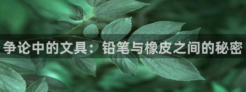 九游会平台网站：争论中的文具：铅笔与橡皮
