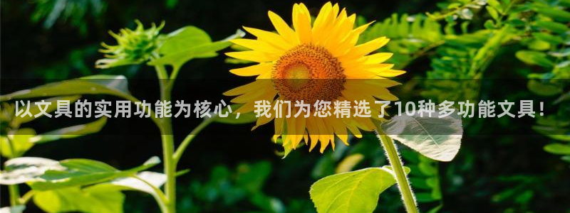 九游会ag8：以文具的实用功能为核心，我
