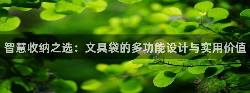 中国九游会：智慧收纳之选：文具袋的多功能