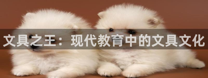 九游会黑钱吗：文具之王：现代教育中的文具