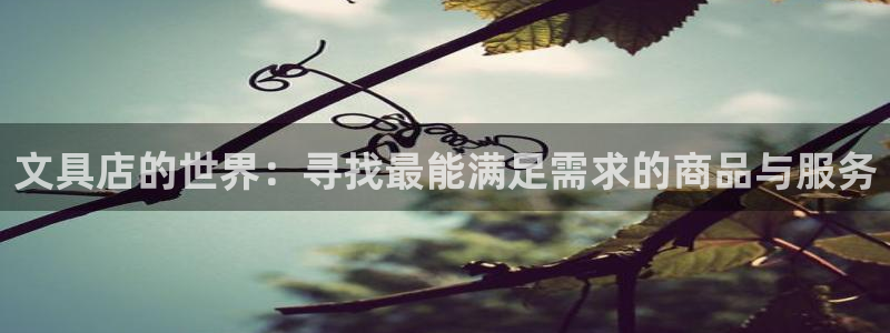 登录九游会：文具店的世界：寻找最能满足需