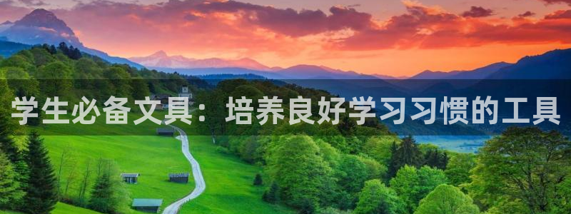 九游会导航：学生必备文具：培养良好学习习