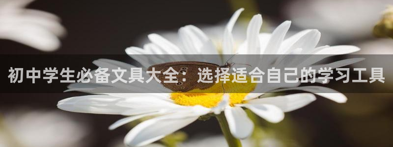 九游会九游会：初中学生必备文具大全：选择