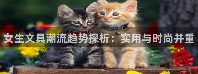 九游会、：女生文具潮流趋势探析：实用与时