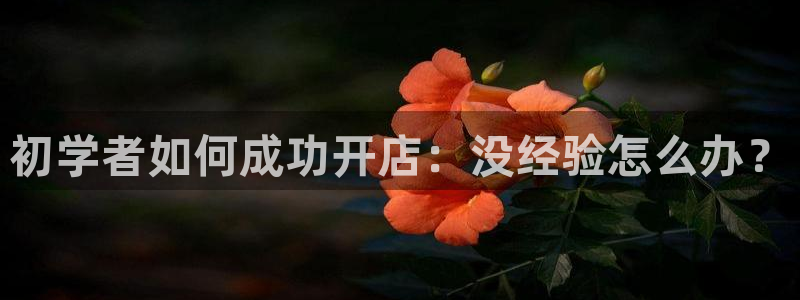九游会不能：初学者如何成功开店：没经验怎