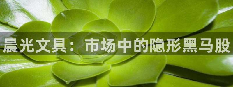 九游账号会丢吗怎么找回：晨光文具：市场中