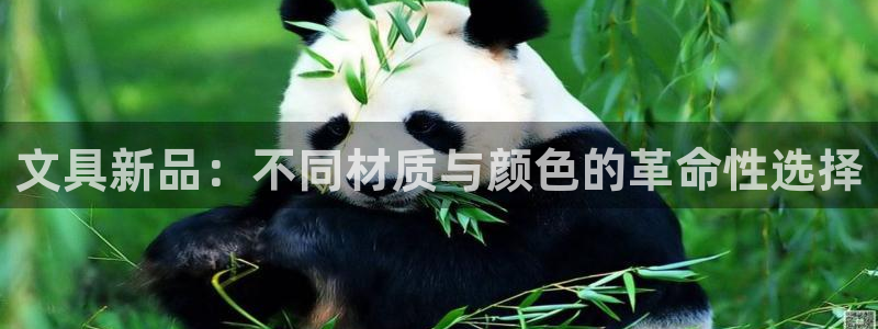 类似j9九游会：文具新品：不同材质与颜色