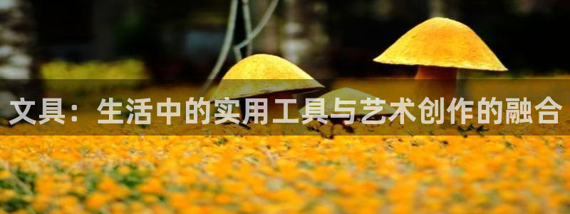 九游会平台游戏：文具：生活中的实用工具与