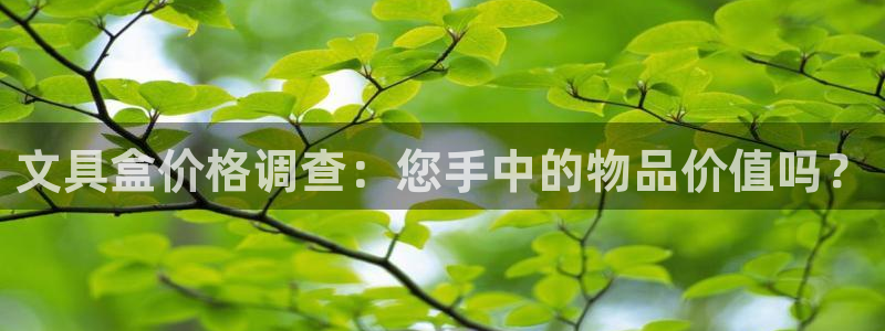 九游会私享：文具盒价格调查：您手中的物品