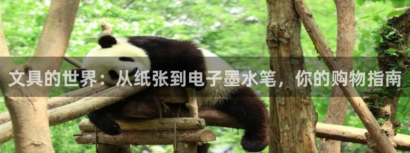 九游异地登录会怎么样吗：文具的世界：从纸