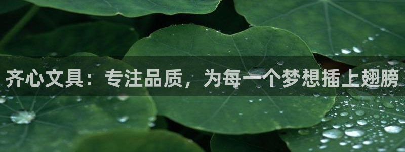 亚洲九游会公司
