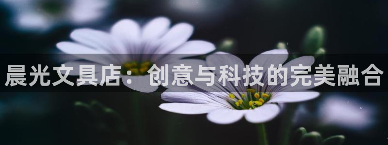 九游账号会清除：晨光文具店：创意与科技的