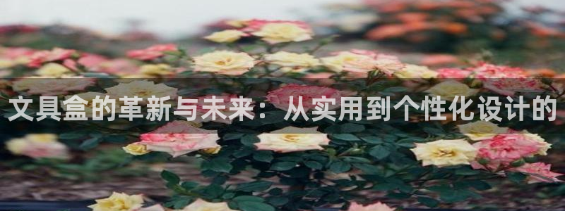 九游会亚游ag：文具盒的革新与未来：从实