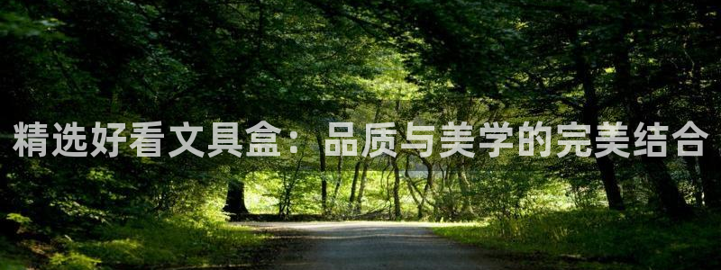 九游会最新：精选好看文具盒：品质与美学的