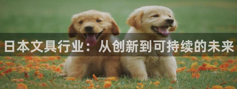 九游会怎么挖矿：日本文具行业：从创新到可