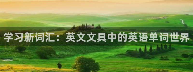 九游会只为非凡：学习新词汇：英文文具中的