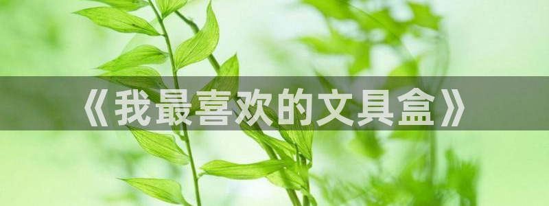 九游会网：《我最喜欢的文具盒》