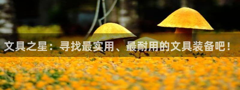 九游会追回：文具之星：寻找最实用、最耐用