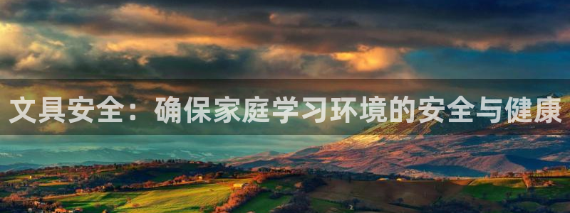 Google 九游会：文具安全：确保家庭