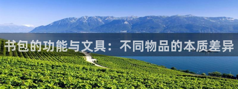 九游会登录ag：书包的功能与文具：不同物