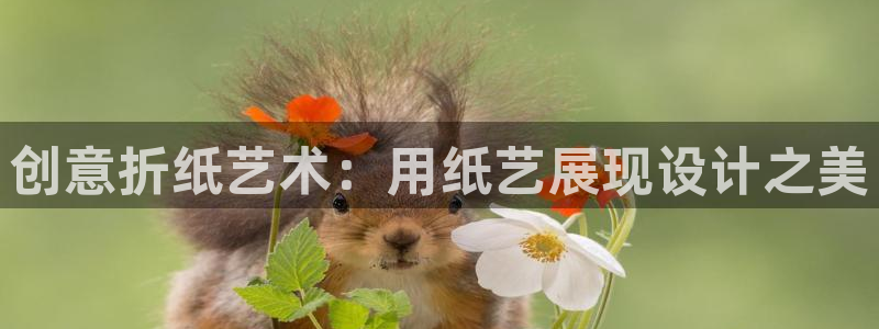 九游会论坛最大：创意折纸艺术：用纸艺展现